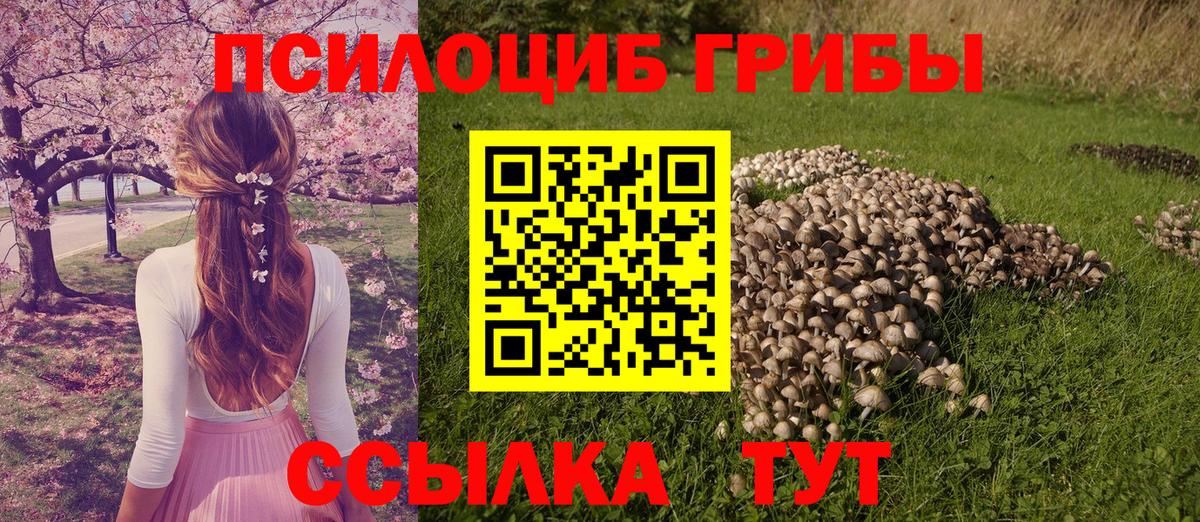 Псилоцибиновые грибы ЛСД  Вход с VPN  Дятьково 