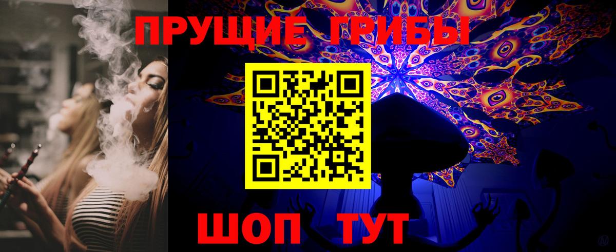 Псилоцибиновые грибы GOLDEN TEACHER Дятьково
